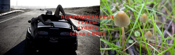бутират Бугульма