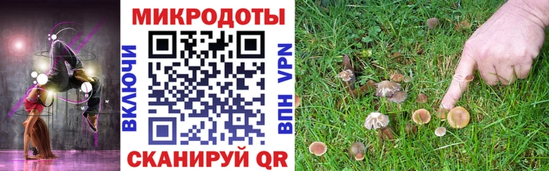 мориарти формула  MEGA как зайти  Псков  Галлюциногенные грибы мицелий 